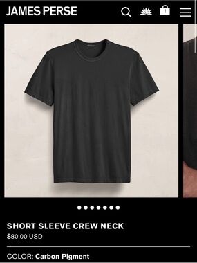 James Perse Short Sleeve Crew Neck — Carbon Pigment NWT